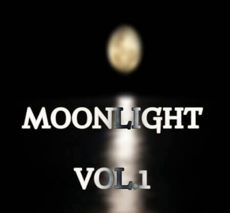 Loops 4 Producers Moonlight Vol.1 WAV